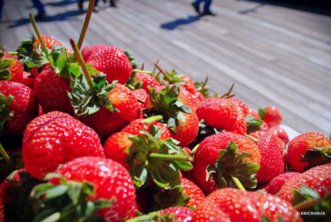 strawberries large credit Eric Borja